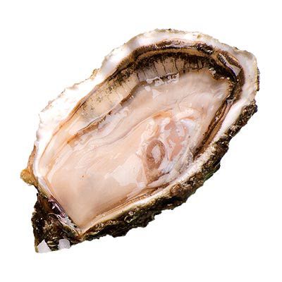 Ostra Delta