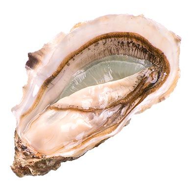 Ostra Esmeralda