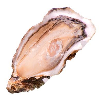Ostra Miurgen