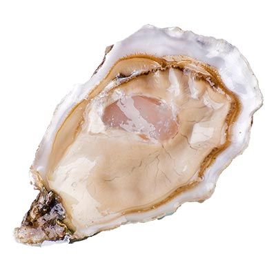 Ostra Gouthier Utah