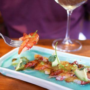 Gamba fresca